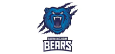 Birmingham Bears cricket team logo
