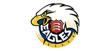 Essex Eagles cricket team logo