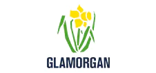 Glamorgan cricket team logo
