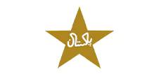 Pakistani national cricket team logo